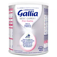 Gallia Bebe Expert Pre-gallia Lait En Poudre B/400g à AUDENGE