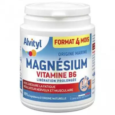 Acheter Alvityl Magnésium Vitamine B6 Libération Prolongée Comprimés LP Pot/120 à AUDENGE